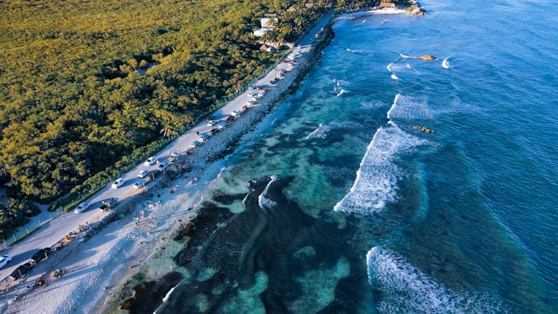 An aerial view of a beach and ocean